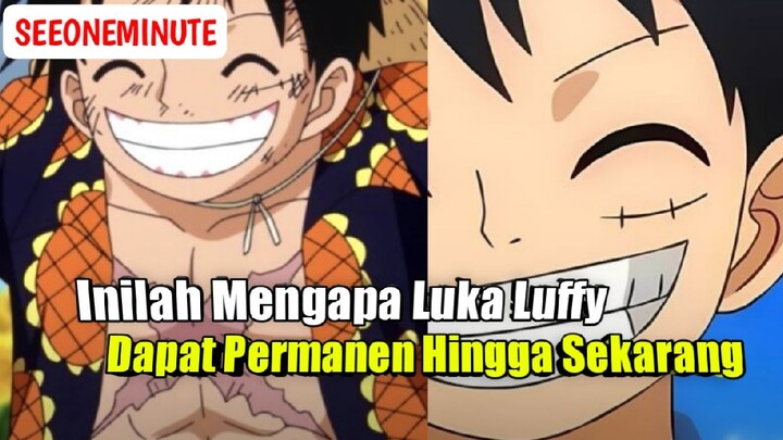 Inilah Alasan Luka Dibawah Mata Kiri dan Dada Luffy Bisa Permanen Hingga Saat Ini || One Piece