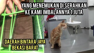 Ya Allah Mau Di Obati Dan Di Rawat Kucing Orange Ini Malah Kabur Kandangnya Sampai Di Jebol..!