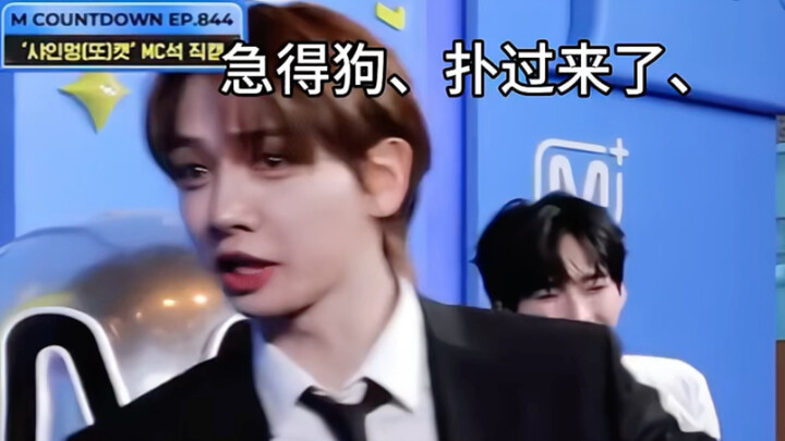 【مينغ زاي هيوان】أزمة ثقة طارئة في موقع التسجيل! حتى الكلاب الكبيرة والصغيرة وصلت لليوم ده! هكذا يتشا