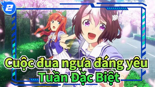Cuộc đua ngựa đáng yêu |【MAD】Đến chạy với Tuần Đặc Biệt_2