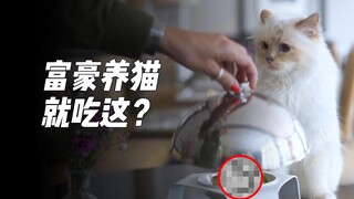 意外继承21亿资产的猫吃什么粮？