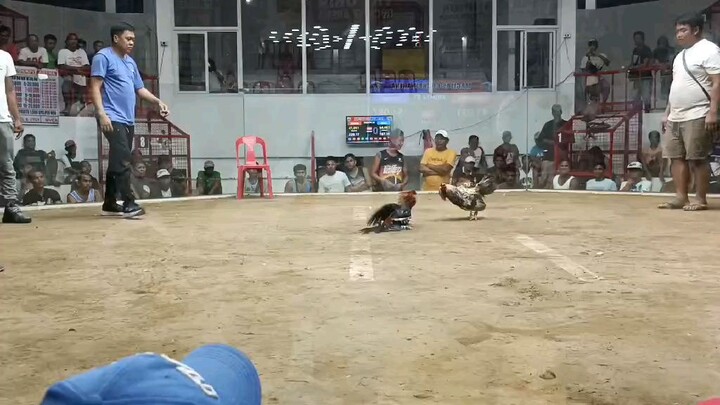 Hindi Naman quality manok,panalo parin