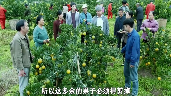 Villagers, reluctant to throw away their unripe blood oranges, ate them all—and ended up in the hosp