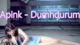 【Natsu夏日】Apink - Dumhdurum 【细高跟//2P高清竖屏】