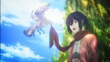Bird Eren Ending Scene || Mikasa Crying in Eren grave 『Attack on titan』Final Season