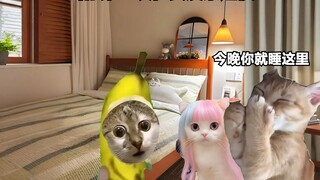 当你第一次在女友家过夜时
