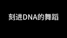 【seventeen】一些人类素质的参差,酒后见人品是真的,不信的来看仓鼠跳舞