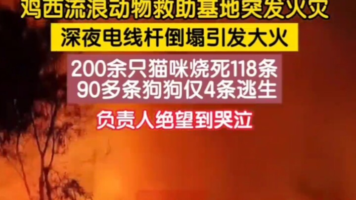 حَكيمي احترق تمامًا