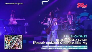 RAISE A SUILEN - Invincible Fighter