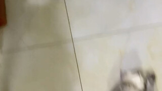 Mengurus kucing memang boros AC...