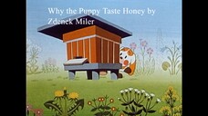 Why the Puppy taste Honey