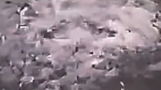 فيديو بوجيانغ مرة أخرى