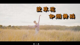 《萱草花》 完整版舞蹈 《你好，李焕英》主题曲 治愈系风景中的抒情舞蹈 如烟舞蹈 悉尼田园风光 思念 温暖的刚刚好 身为女儿只希望我的妈妈健康快乐