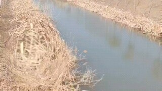 给大家表演一下今天学会的遁地术
