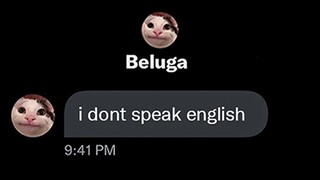 "I don't speak English"