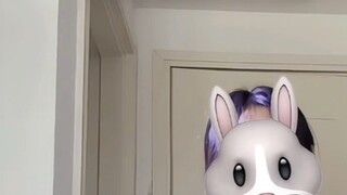 مجموعة رقصات القديم