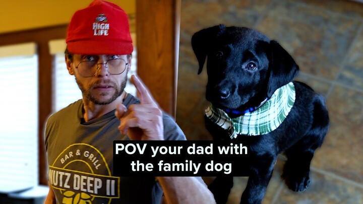 Pure temptation! When you bring a dog home, your dad goes: