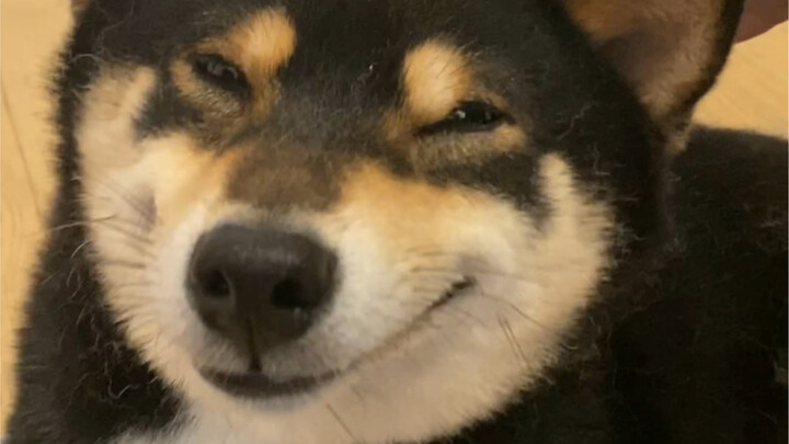 Immersive Grooming Experience