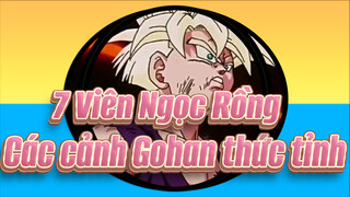 7 Viên Ngọc Rồng| Các cảnh thức tỉnh của Gohan