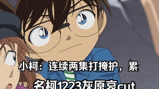 Xiao Ai doesn't even act in front of Wakasa. Detective Conan 1223 Haibara Ai cut