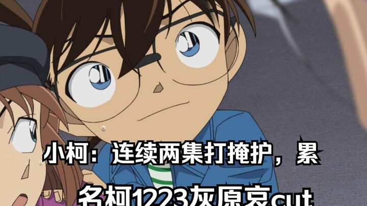 Xiao Ai doesn't even act in front of Wakasa. Detective Conan 1223 Haibara Ai cut