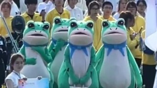 ฉันเห็นกบน่ารักในบริเวณเต้นรำริมถนน
