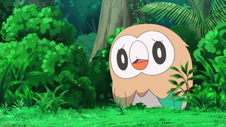 Pokemon Sun and Moon Episode 29 (Dub)