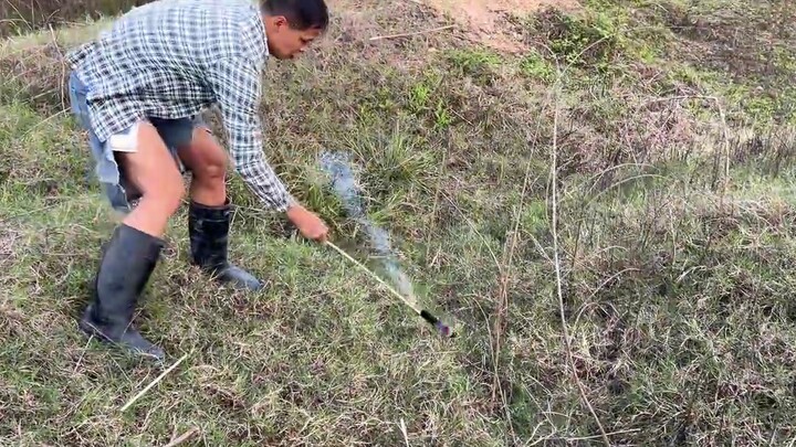 The boy bombed the rat hole with a rocket launcher, and the rats came out of the hole and surrendere