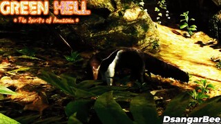 Musuh Terlihat! - Green Hell Spirits of Amazonia #27