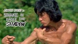 Snake In The Eagle Shadow (1978) - Jackie Chan Sub Indo