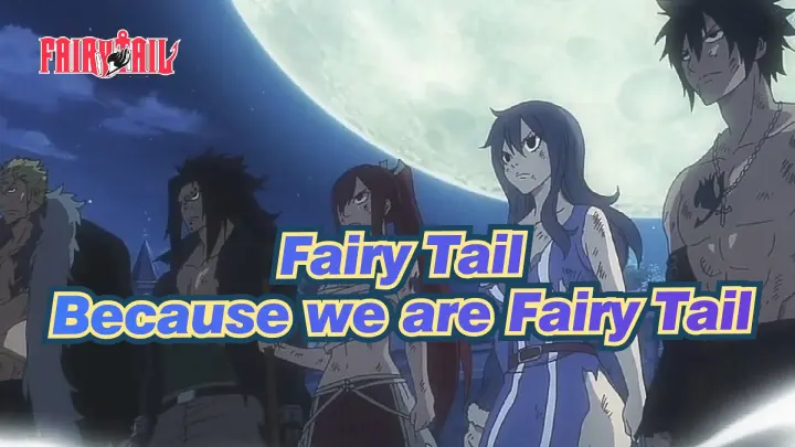 Fairy Tail| Because we are Fairy Tail