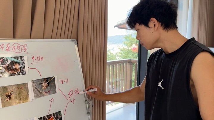 Update on the chicken coop attack… Things aren’t looking good.