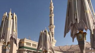 What are the parasols that Saudi Arabia spent tens of billions of dollars to build used for?