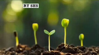 BOLEHKAH MUROJAAH BAGI WANITA HAID #ryshs #dakwah #islam #2023