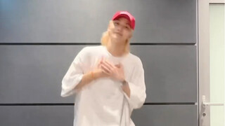 تحدي كعكة التيراميسو الخاص بـ Yoon Jeonghan: الأرنب لطيف للغاية (///▽///)