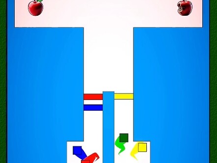 การแข่งขันรูปสี่เหลี่ยม ใครจะอยู่รอดจนถึงที่สุด? #รูปเรขาคณิต