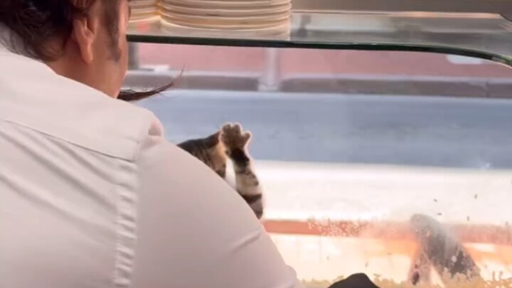 Yumi's Delicious Dinner