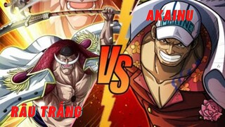 Râu trắng vs  Akainu