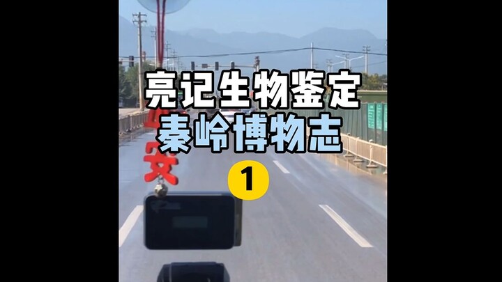 【Liangji Biological Identification】Qinling Natural History 1