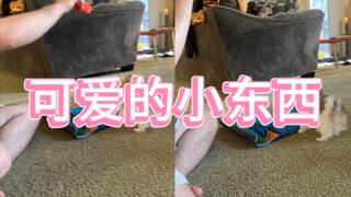 准备！发射！！