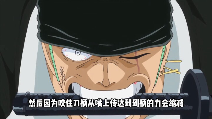 Daftar Fakta Unik tentang Zoro! 99% Penggemar One Piece Tidak Tahu!