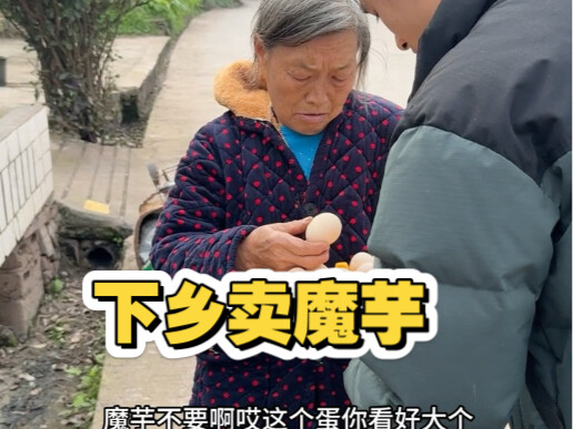 Hari ini aku bikin sepanci konjac tanpa biaya apa pun untuk dibawa ke desa dan dijual—coba kita liha