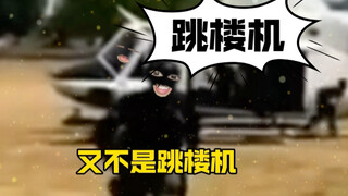 跳楼机之《硬要着陆》