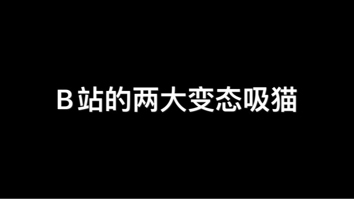 B站两大变态吸猫