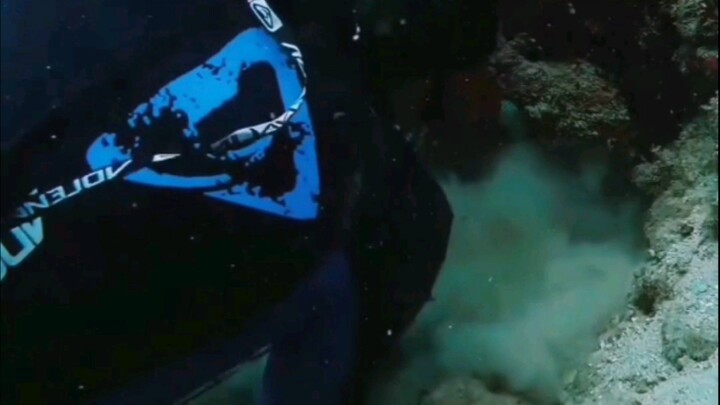 Lobster Weightlifter🦞🦞