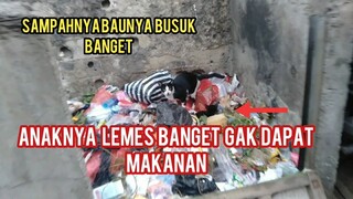 Anak Kucing Bayi Lapar Di Ajak Induknya Cari Makanan Di Tempat Sampah  Tapi Gak Ada Makanan ..!