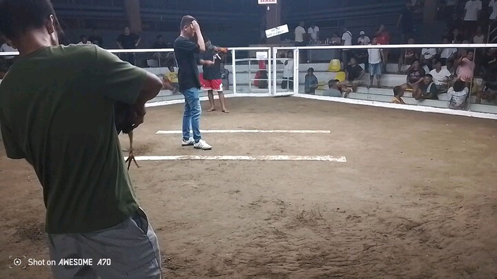 R.A.J Backyard 2nd.fight of 1st.entry Win