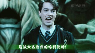 哈利与伏地魔相隔50年的对峙