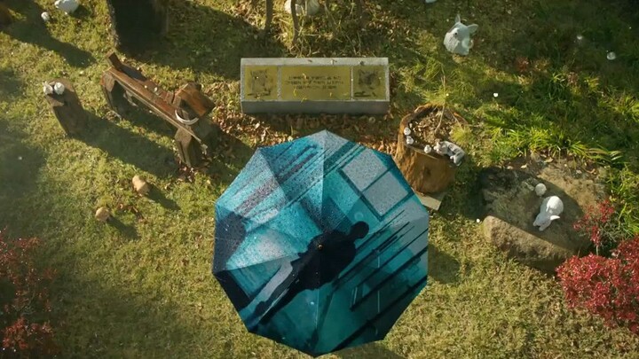 bad Memory Eraser Eps 10 Sub Indo
