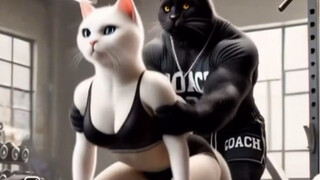 666, saya menemukan film kucing.